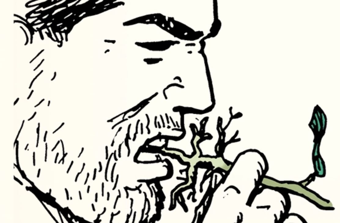 Skill of the Week: Test If a Plant Is Edible Skill of the Week: Test If a Plant Is Edible
