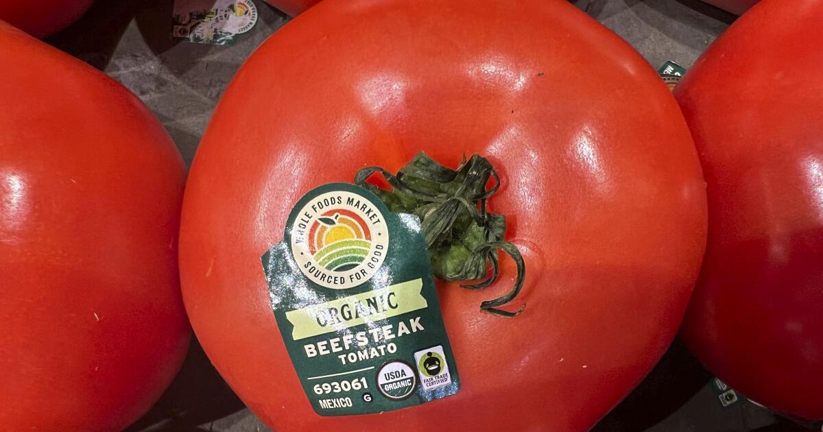 Amid Cinco de Mayo celebrations, a tax on Mexican tomatoes looms Amid Cinco de Mayo celebrations, a tax on Mexican tomatoes looms