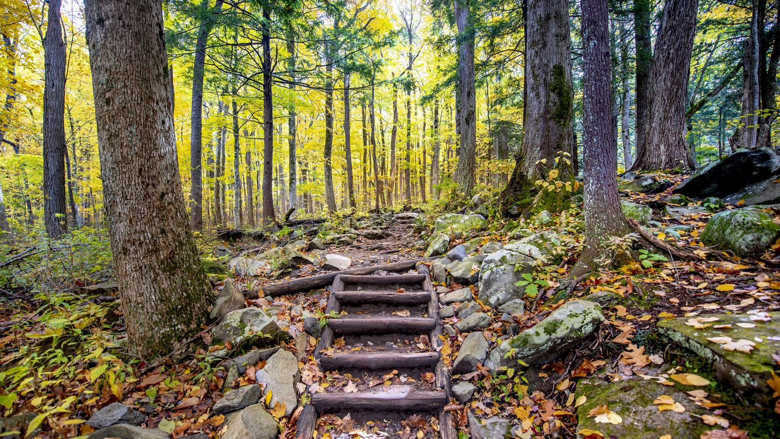 The Creepiest Destination In The Smoky Mountains Is An Eerie But Beautiful Resort Ghost Town The Creepiest Destination In The Smoky Mountains Is An Eerie But Beautiful Resort Ghost Town